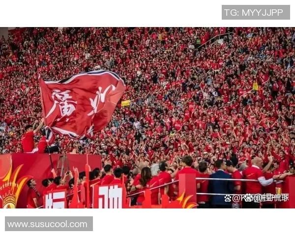 深圳队主场告捷,以2-1战胜广州队,升至中超积分榜前列